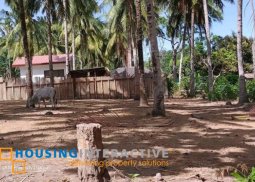 lot for sale in negros oriental