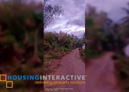 lot for sale in negros oriental