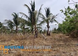 lot for sale in negros oriental