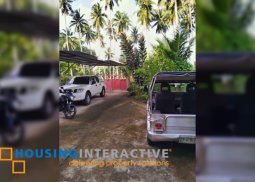 house/apartment for sale in negros oriental