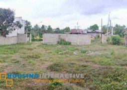 lot for sale in negros oriental