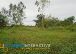 lot for sale in  biñan, laguna