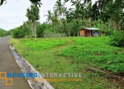 lot for sale in san pablo city