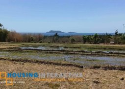 lot for sale in negros oriental