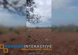 lot for sale in negros oriental