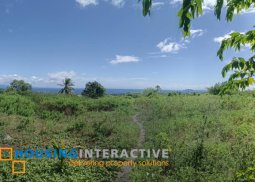 lot for sale in negros oriental