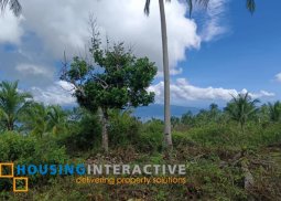 lot for sale in negros oriental