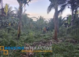 lot for sale in negros oriental