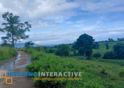 lot for sale in negros oriental