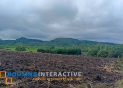 lot for sale in negros oriental