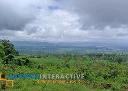lot for sale in negros oriental