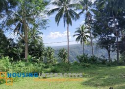 lot for sale in negros oriental