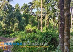 lot for sale in negros oriental