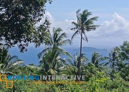 lot for sale in negros oriental