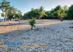 lot for sale in negros oriental