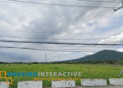lot for sale in  calauan, laguna