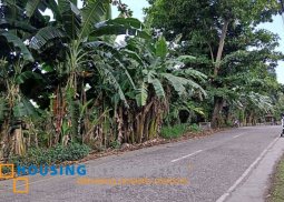lot for sale in negros oriental