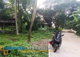 lot for sale in negros oriental