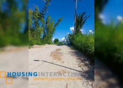 lot for sale in negros oriental