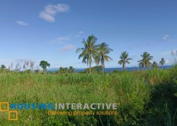 lot for sale in negros oriental