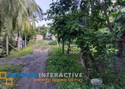 lot for sale in negros oriental