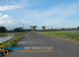 lot for sale in  jaen, nueva ecija