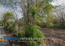 lot for sale in alaminos, pangasinan
