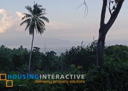 lot for sale in negros oriental