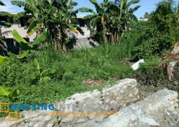lot for sale in negros oriental