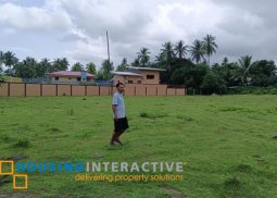 lot for sale in negros oriental
