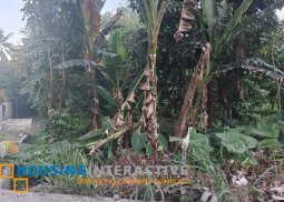 lot for sale in negros oriental