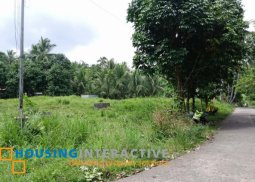 lot for sale in negros oriental