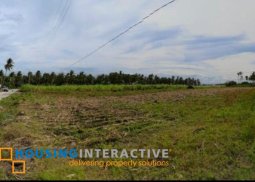 lot for sale in negros oriental