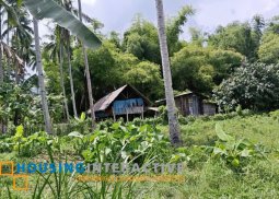 lot for sale in negros oriental