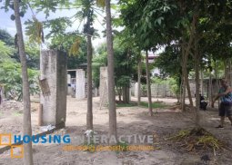 lot for sale in negros oriental