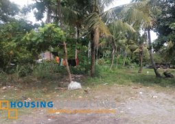 lot for sale in dumaguete city