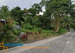 lot for sale in dumaguete city