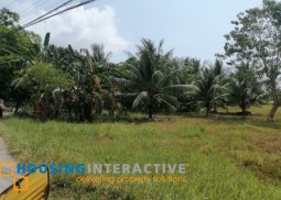 lot for sale in dumaguete city