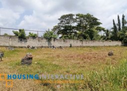 lot for sale in dumaguete city