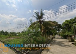 lot for sale in rosales, pangasinan