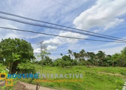 lot for sale in sariaya, quezon