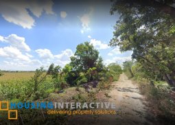 lot for sale in la paz, tarlac