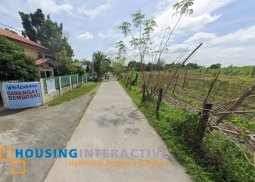 lot for sale in gerona, tarlac