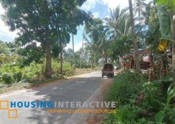 lot for sale in negros oriental
