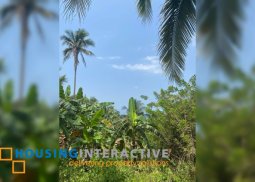 lot for sale in san jose dumaguete city