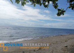 lot for sale in bacong negros oriental