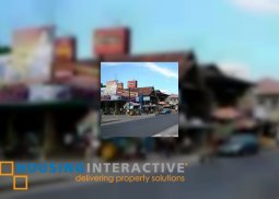lot for sale in brgy vargas santa ignacia tarlac
