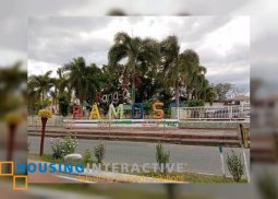 lot for sale in brgy coral iloco ramos,tarlac