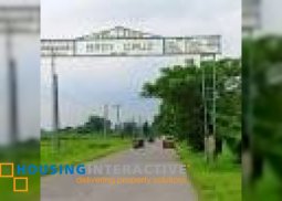 lot for sale in brgy cruz victoria tarlac