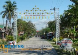 lot for sale in sitio bacao brgy salumague paniqui tarlac